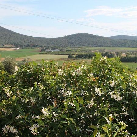 Agriturismo Podere Montenero 奥贝里塞 外观 照片