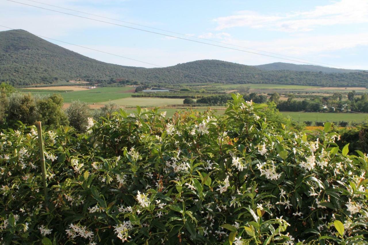 Agriturismo Podere Montenero 奥贝里塞 外观 照片